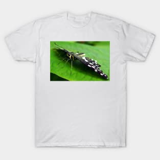Butterfly Eyes T-Shirt